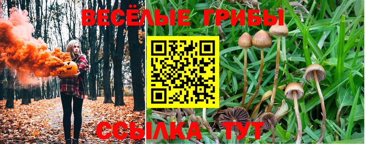 Псилоцибиновые грибы мицелий  Галлюциногенные грибы GOLDEN TEACHER  Мурино  продажа наркотиков  Вход с VPN 